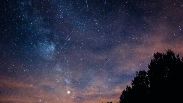 英仙座流星雨｜8.12晚至凌晨高峰期　太空館直播：觀測條件良好