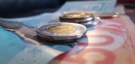 这项福利本月上涨!8月加拿大政府7项福利金发放指南