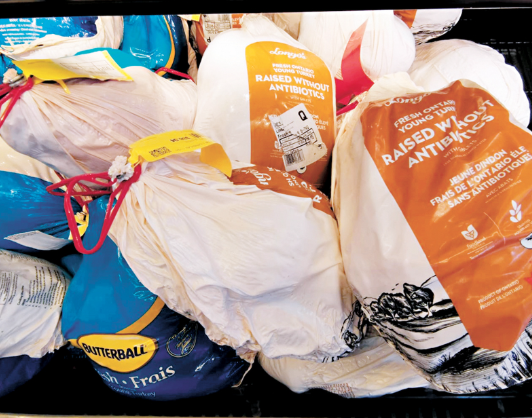 火鸡不断涨价 美国感恩节前夕禽流感肆虐