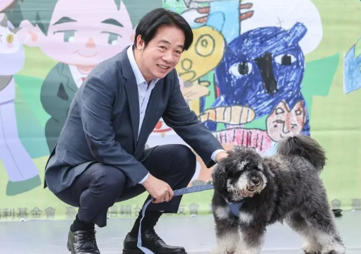 宁养宠物不生娃…全台饲养猫狗逾340万只 毛孩已多过小孩