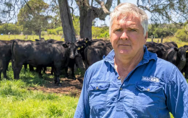 澳洲牛肉出口或遭重创 农场主紧急寻找新市场