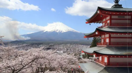 游客太多！日本富士山附近樱花祭今年取消